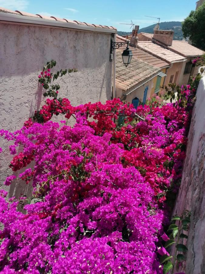 Beautiful Renovated Studio With View- Old Hyères المظهر الخارجي الصورة